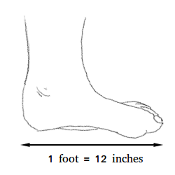 how long is 1 feet