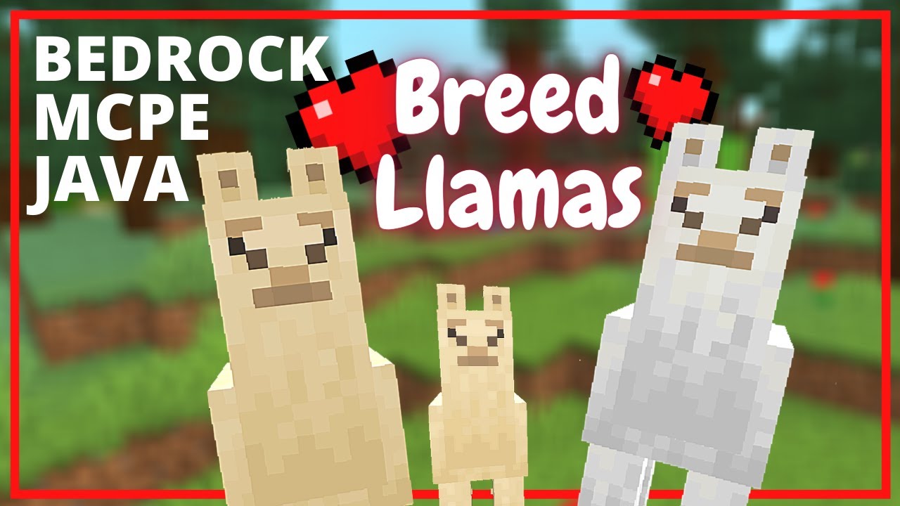 how to breed llamas minecraft