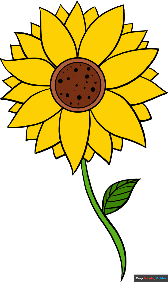 how to draw a sunflower for kids