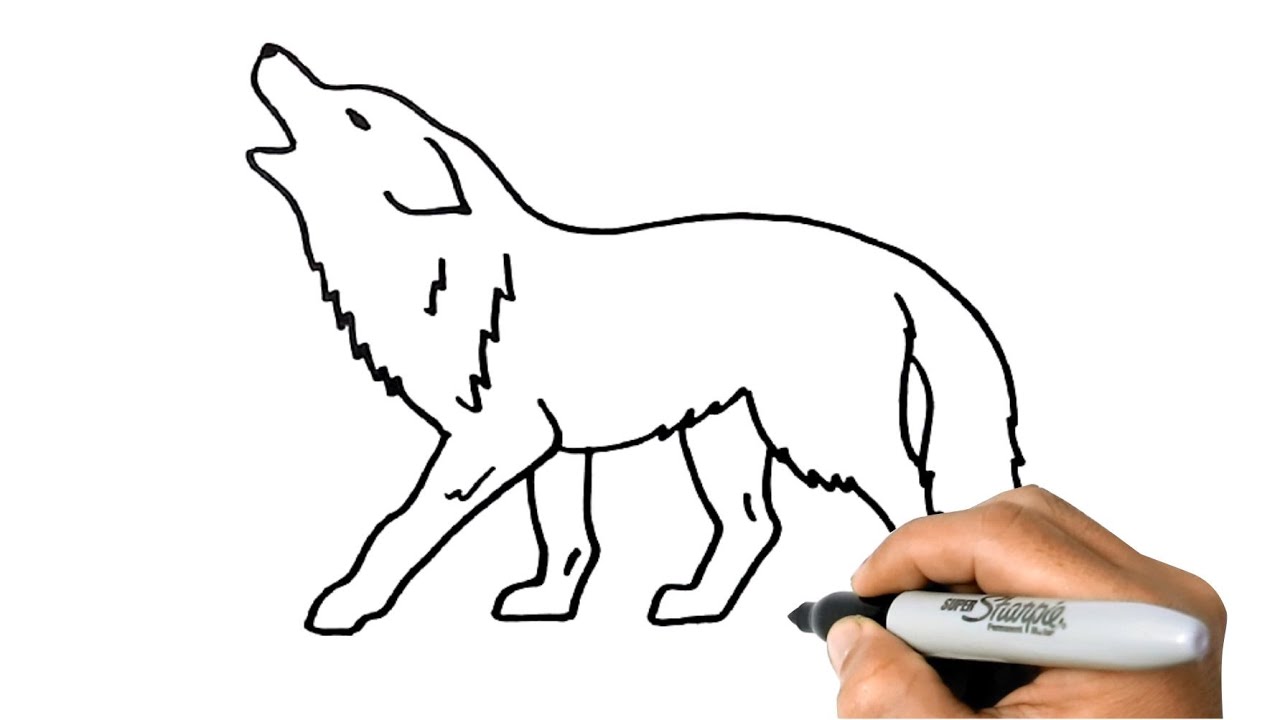 how to draw a wolf simple