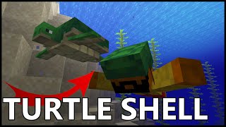 how to get turtle shell in minecraft