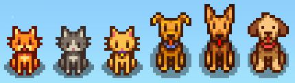 how to pet animals stardew valley