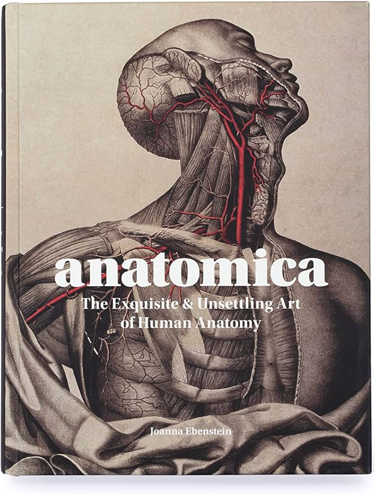 human anatomy artwork