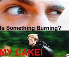 hunger game memes