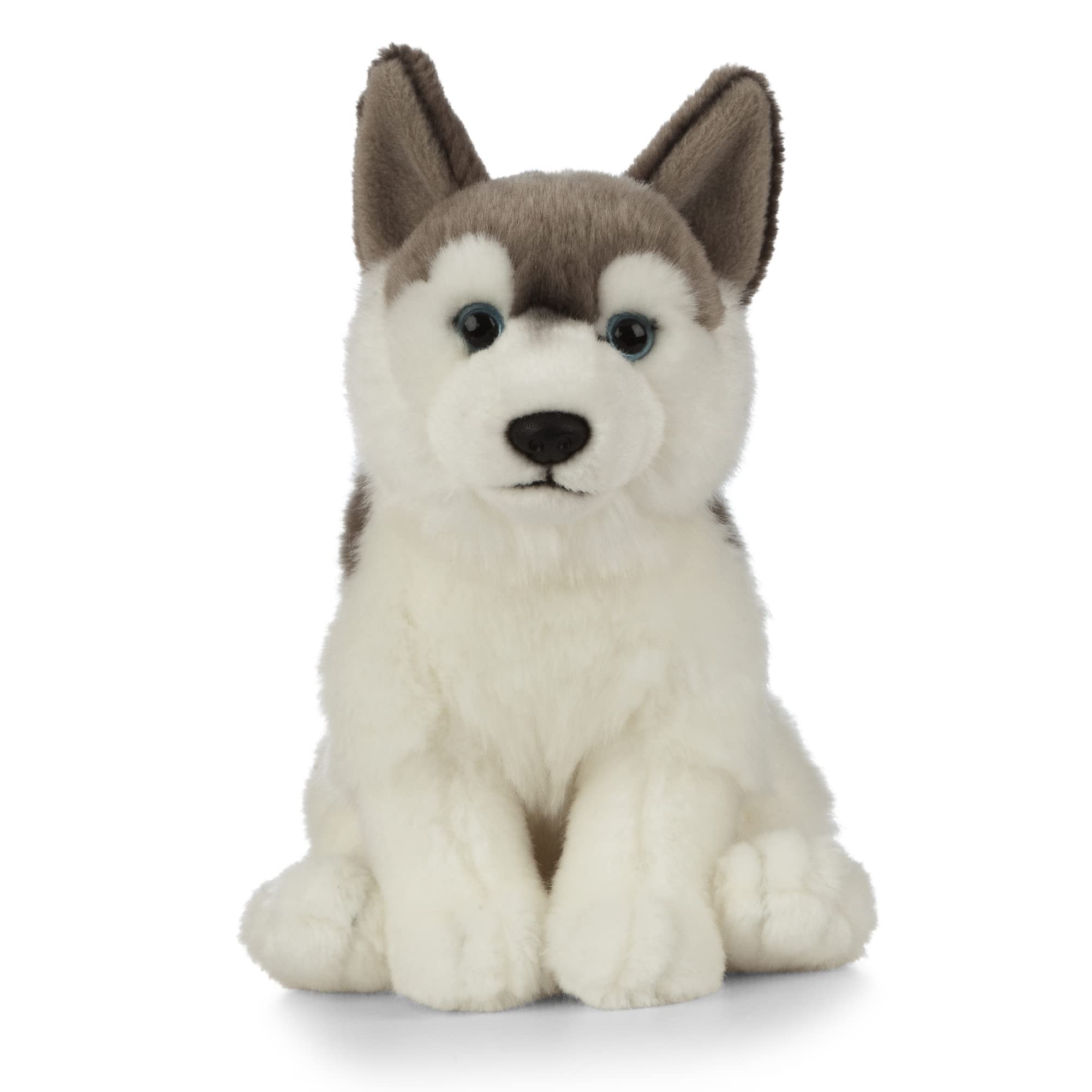 husky dog plush