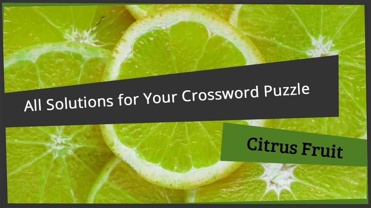 hybrid citrus fruit crossword clue