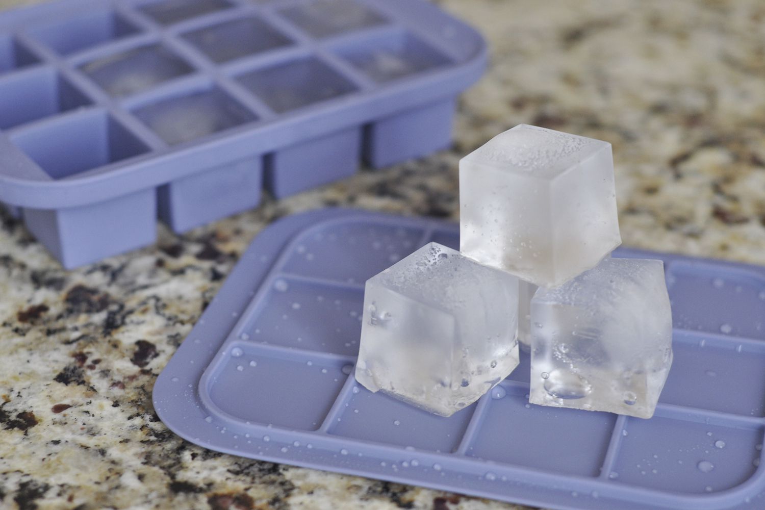 ice tray mold