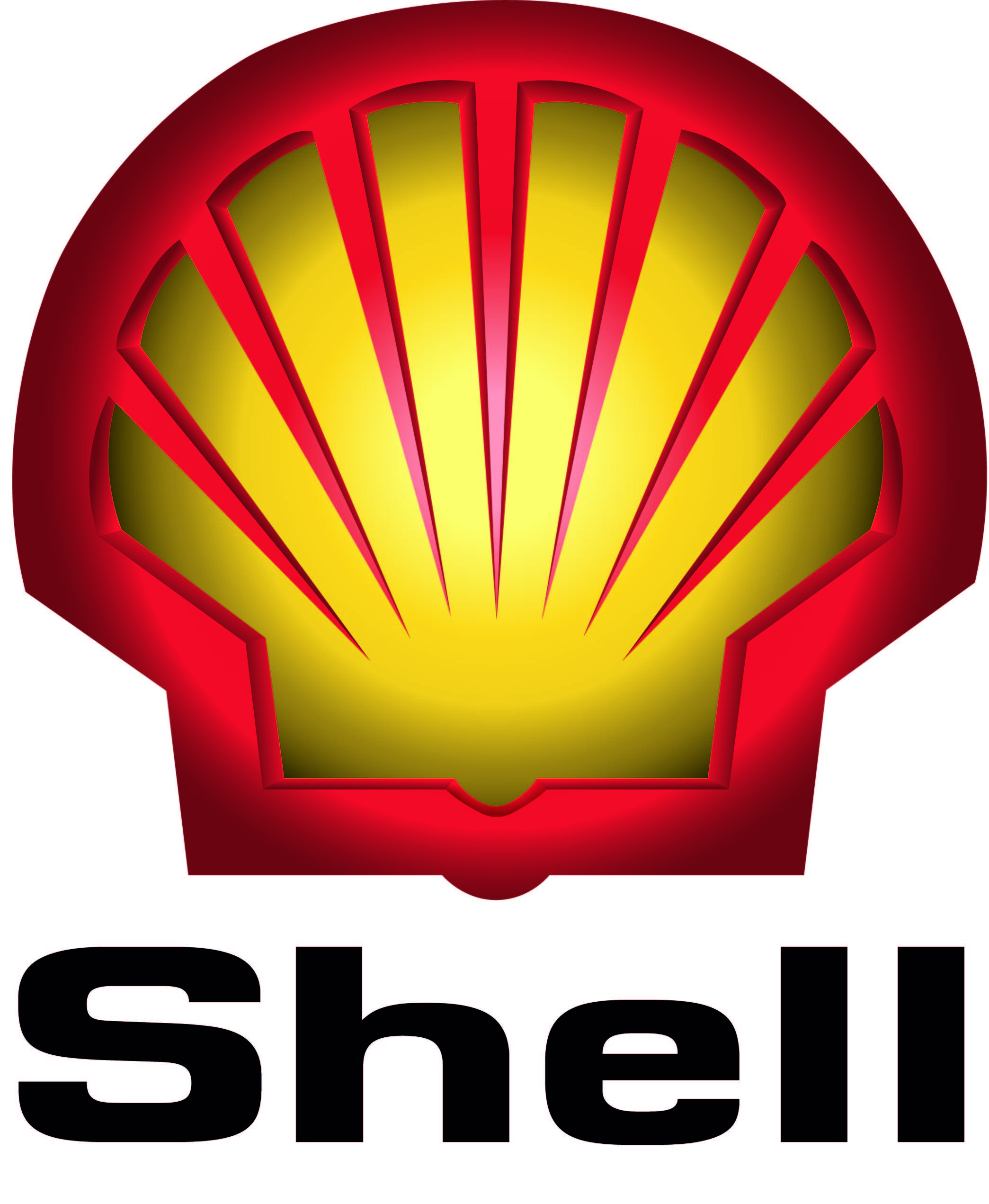 imagenes de shell