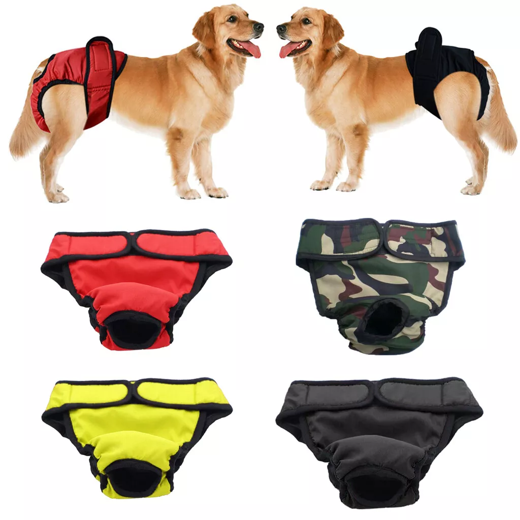 incontinence pants for dogs