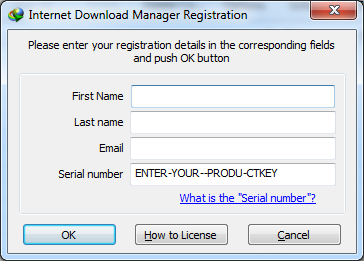 internet dowland manager seri numarası