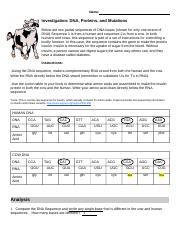 investigation dna proteins and mutations worksheet