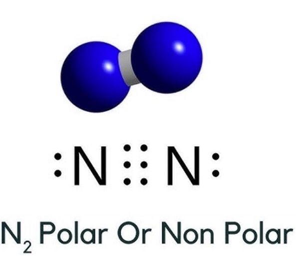 is n2 polar