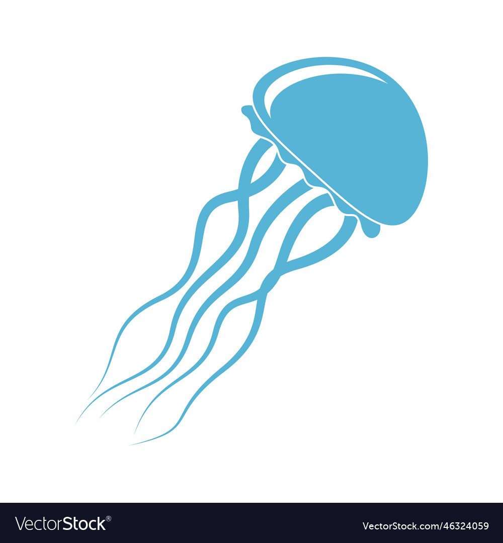 jellyfish vector