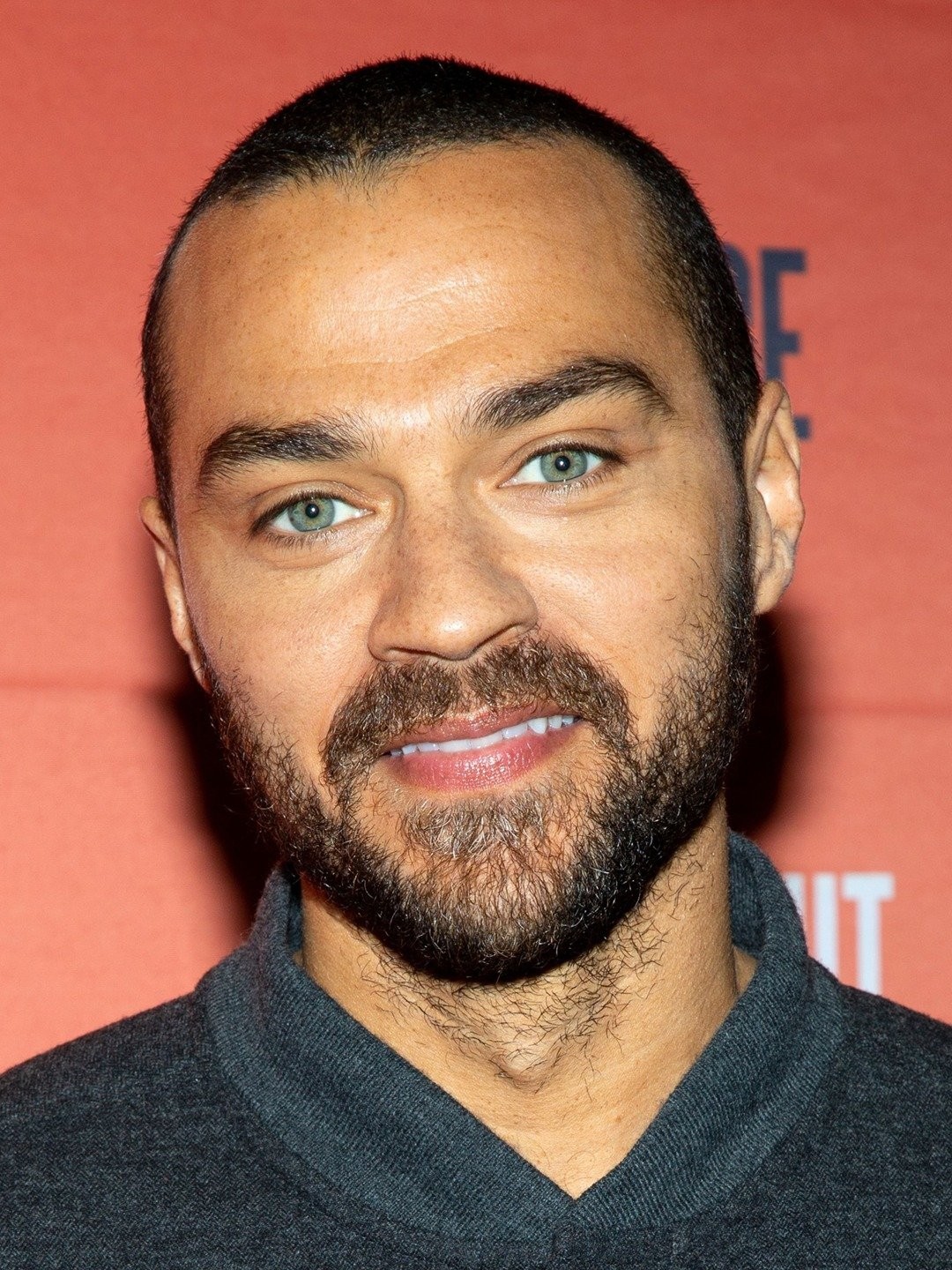 jesse williams movies and tv shows