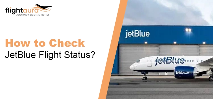 jetblue airlines flight status