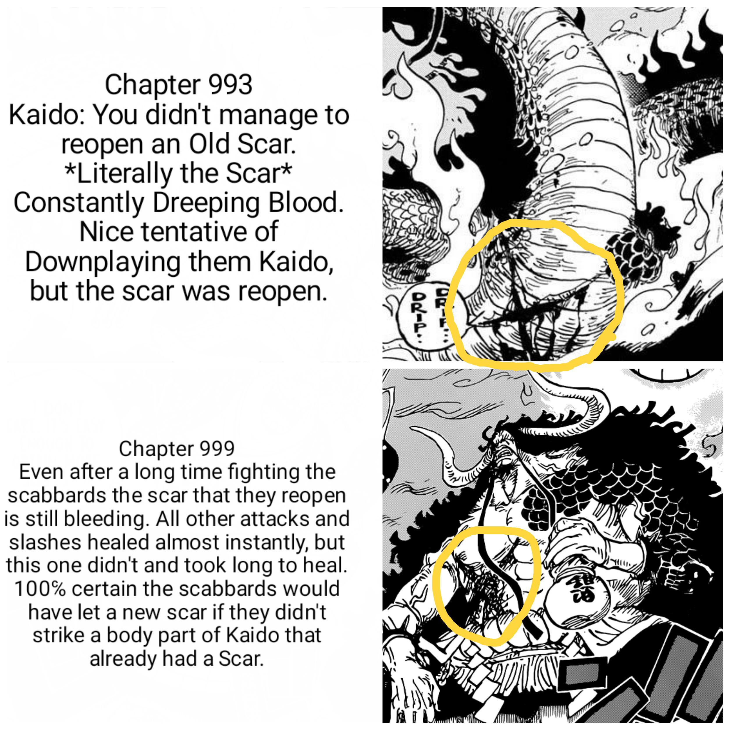 kaido scar