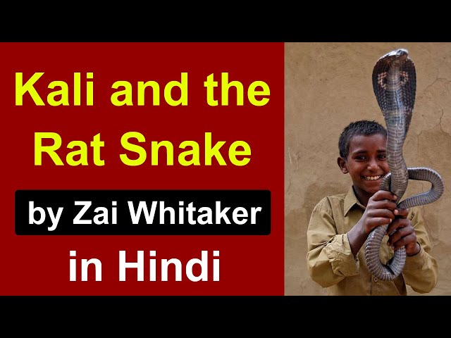 kali and the rat snake summary