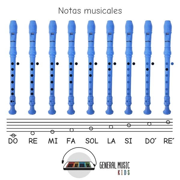 las notas en la flauta dulce