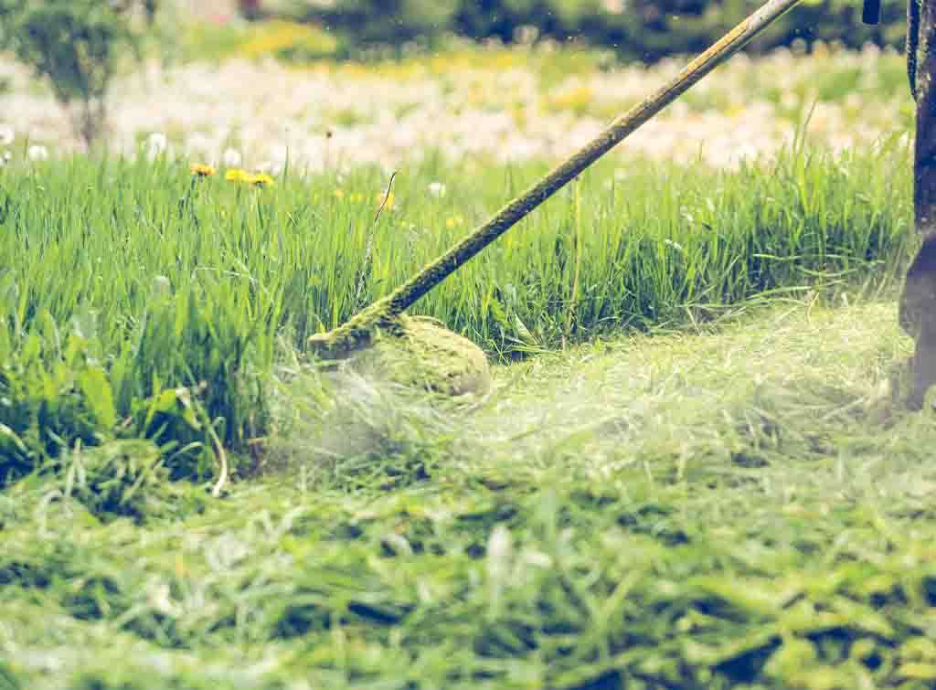 lawn mowing service near me prices