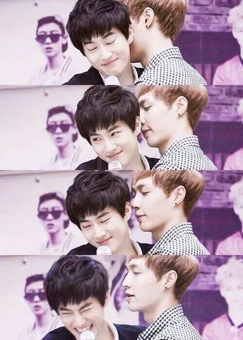 lay y suho