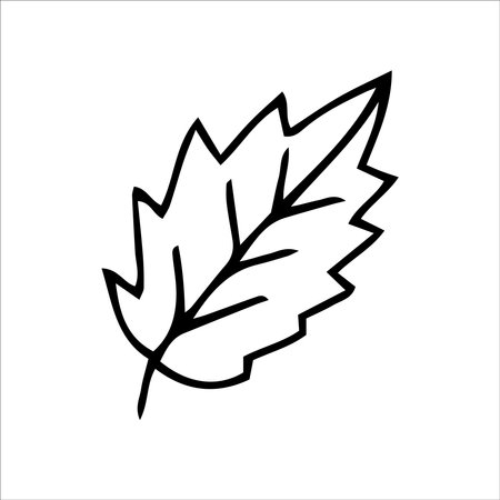 leaf outline clipart