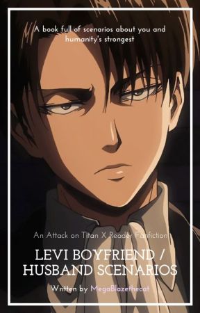 levi x reader period