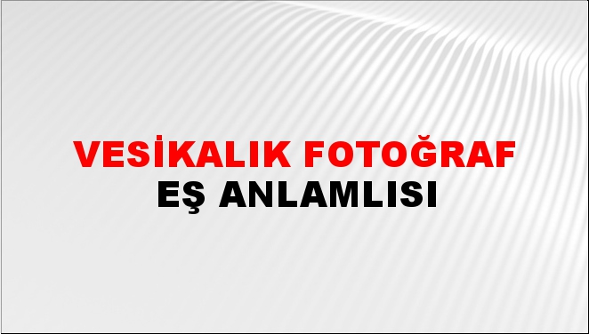 link eş anlamlısı