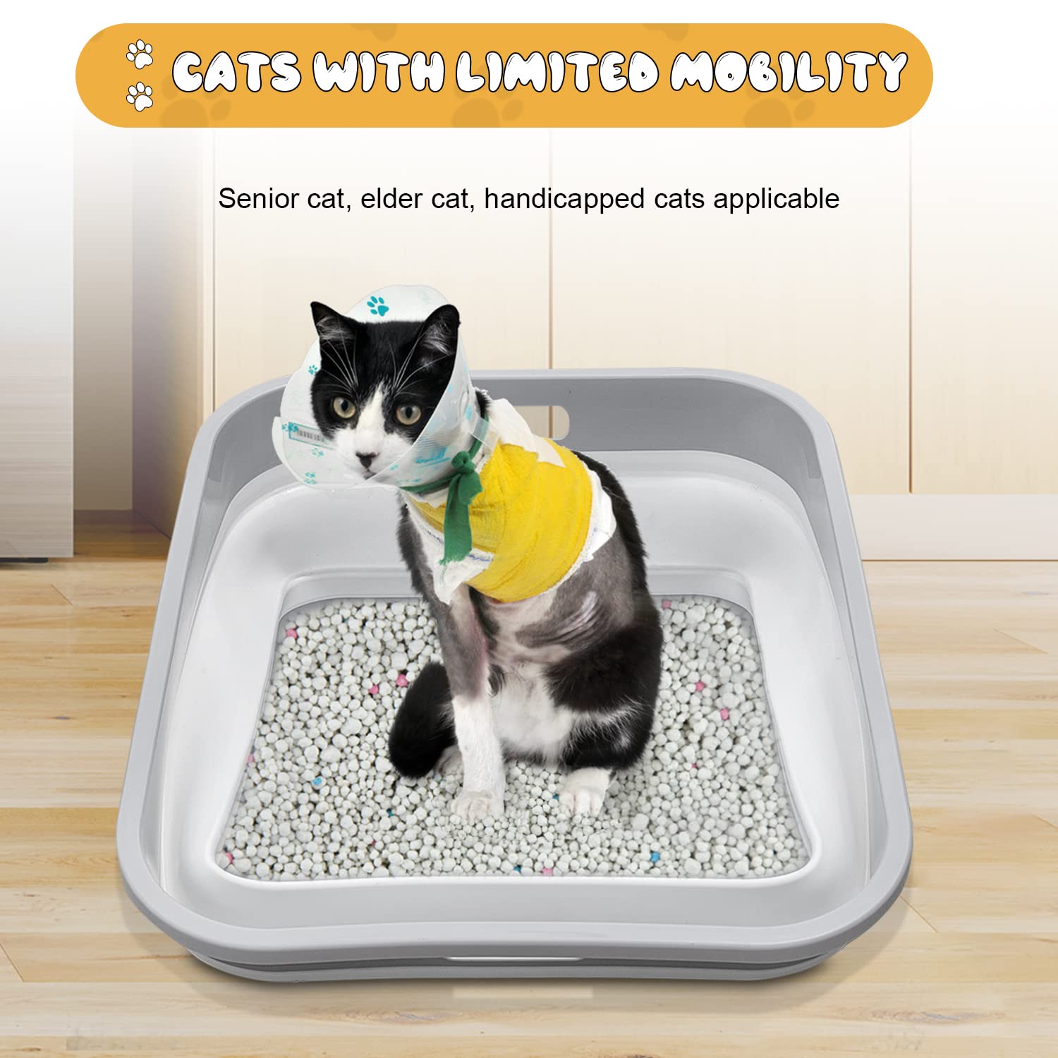 litter box for disabled cats