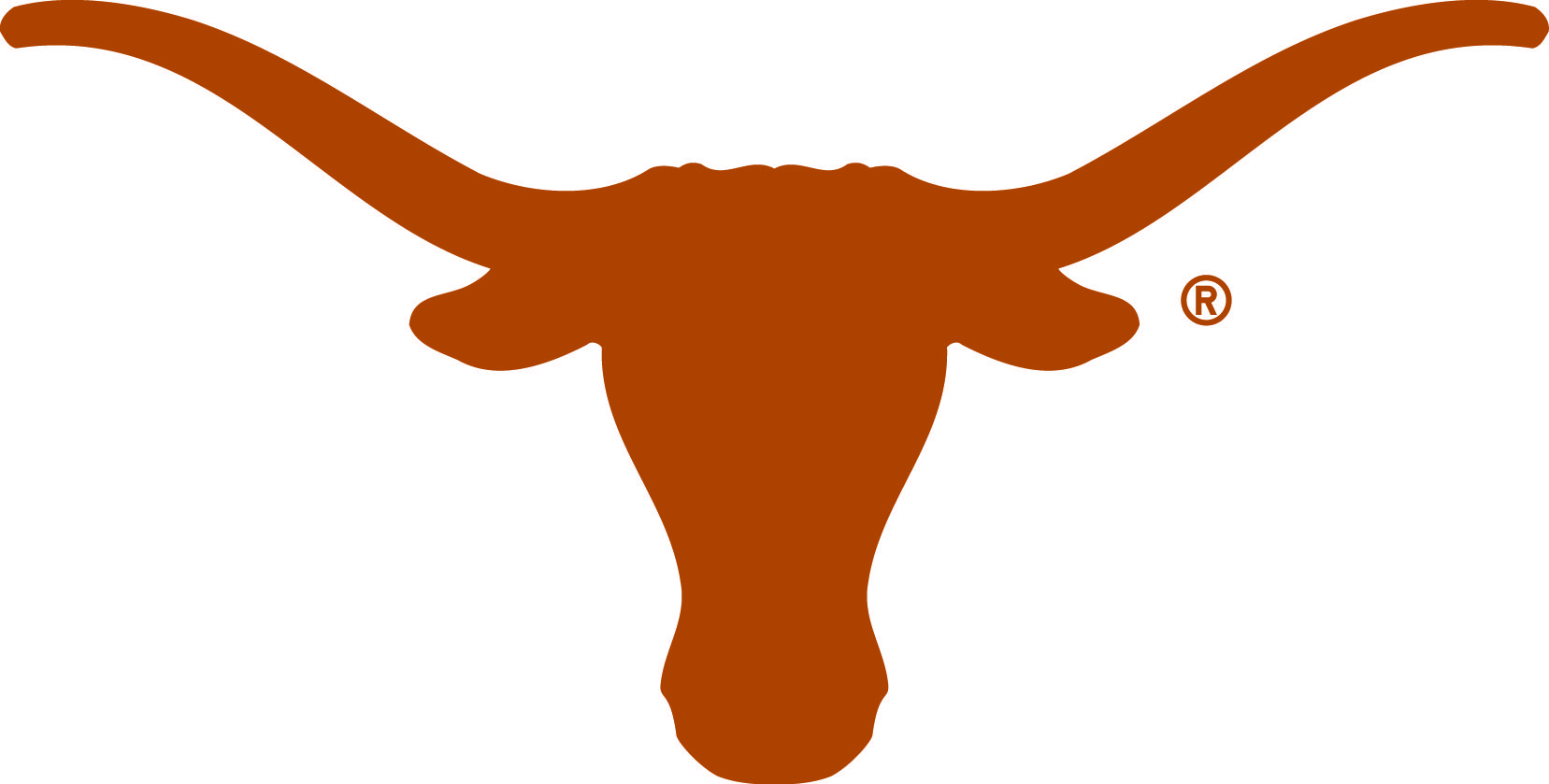 longhorn stencil