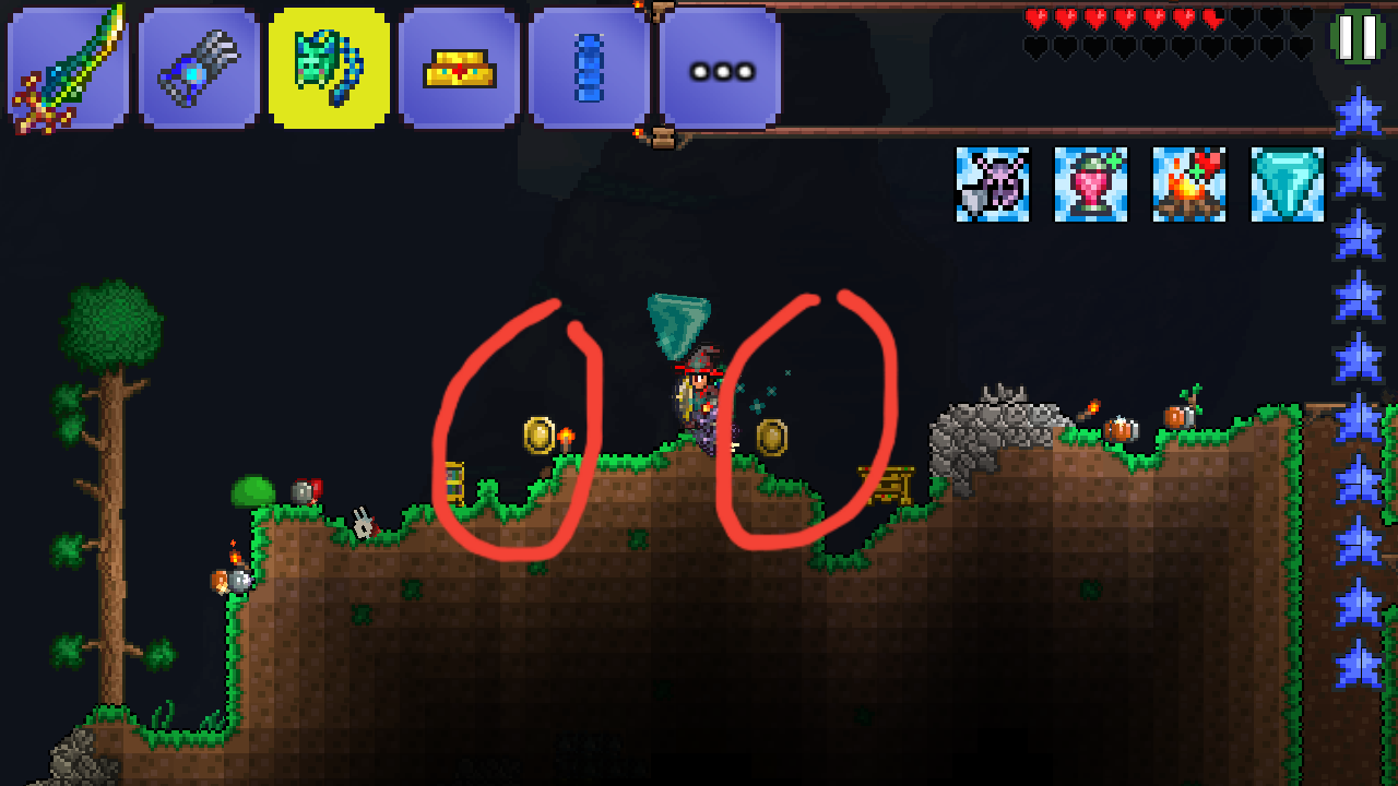 lucky coin terraria