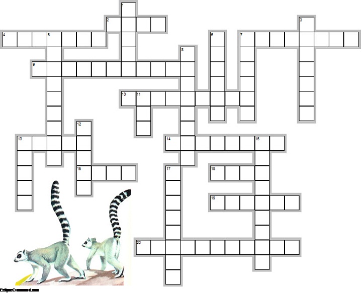 mammal type crossword clue