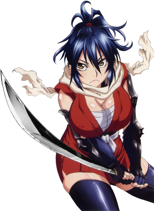 manyuu hikenchou characters wiki