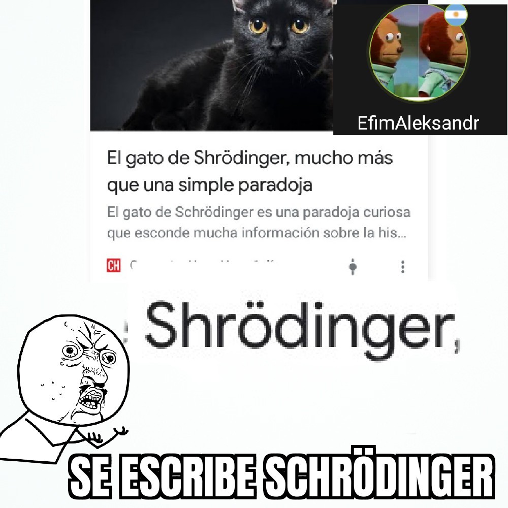 meme gato de schrodinger