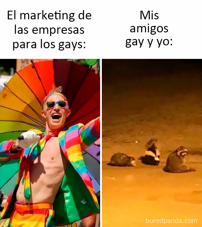 memes de lgbt