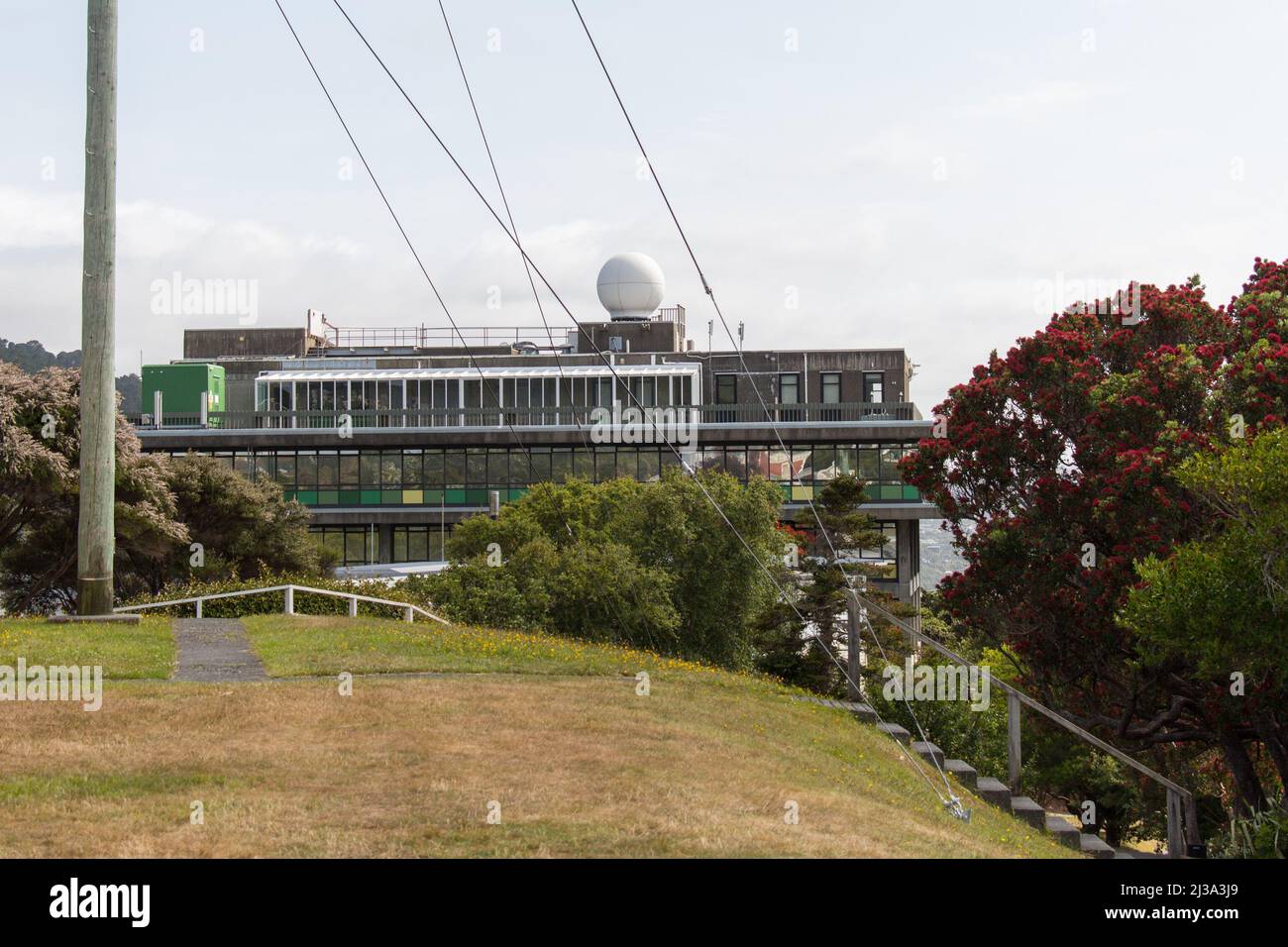 metservice wellington