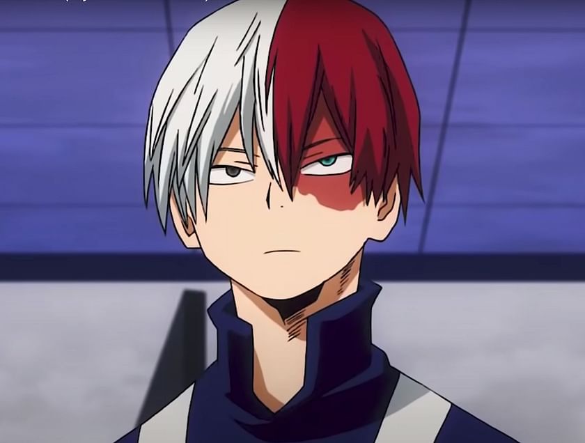 mha shoto