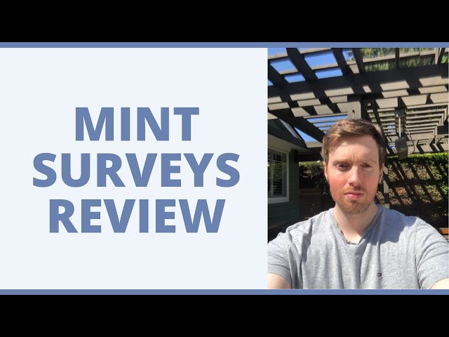 mint surveys review