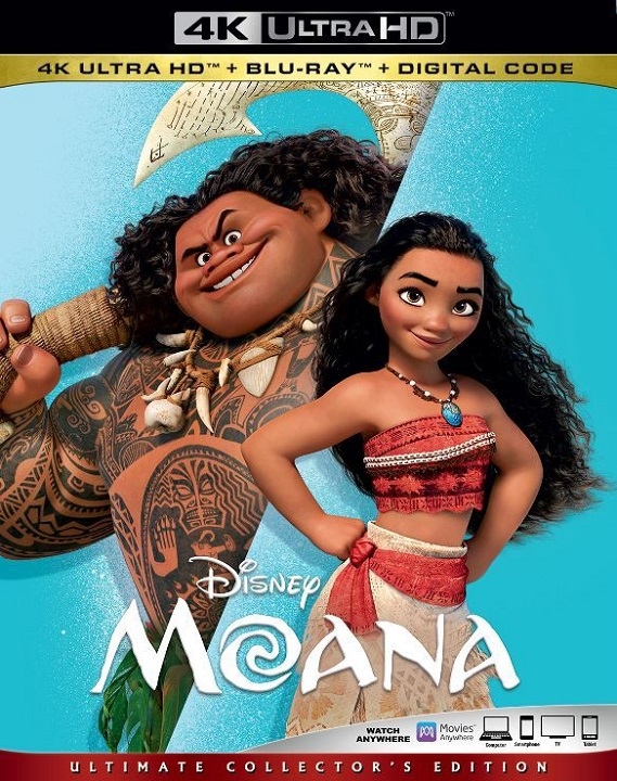 moana torrent