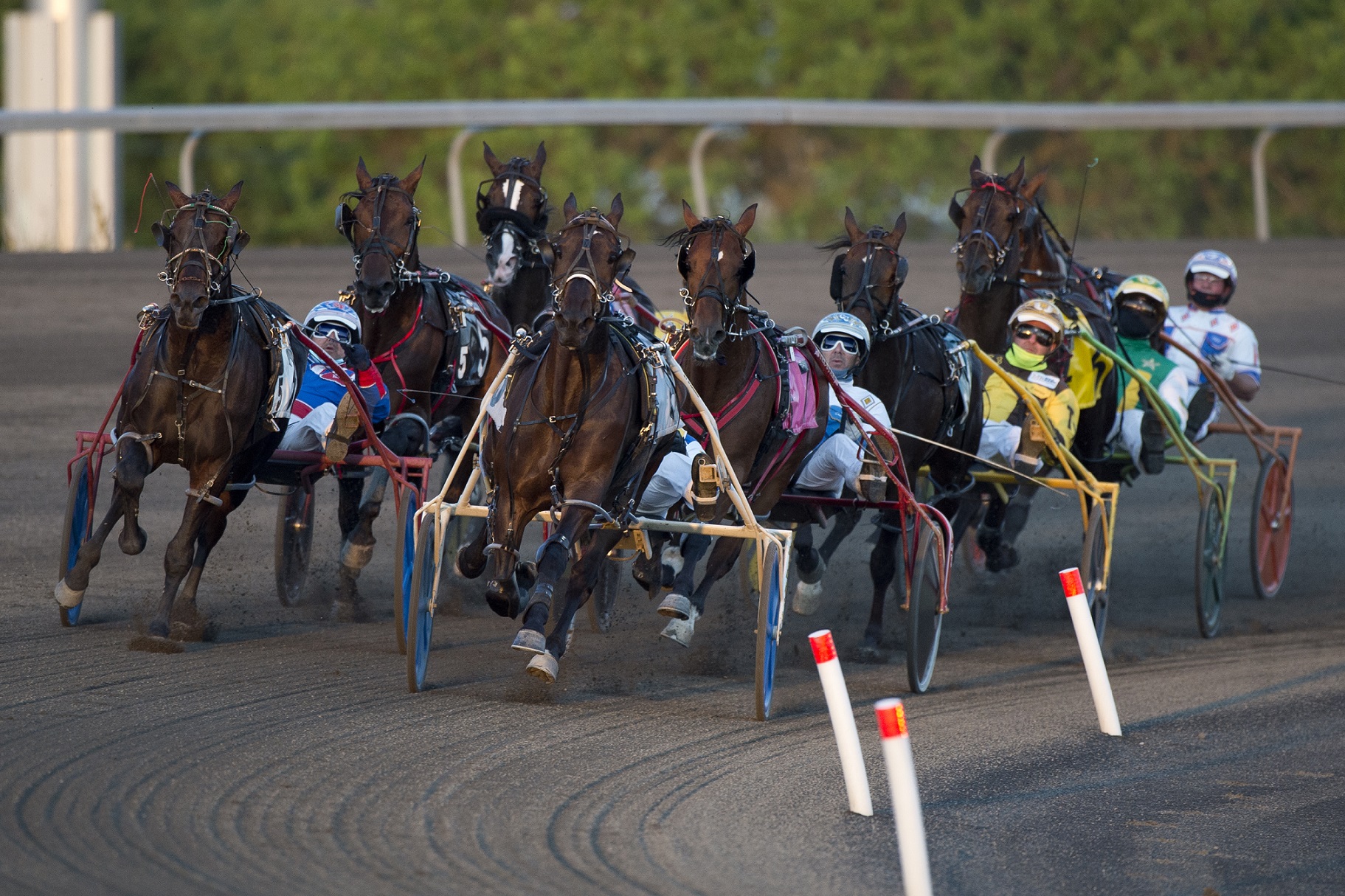 mohawk woodbine results