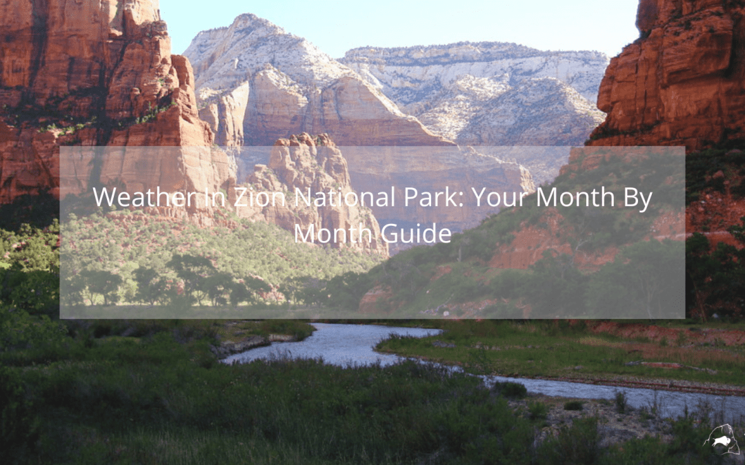 monthly weather in zion national park