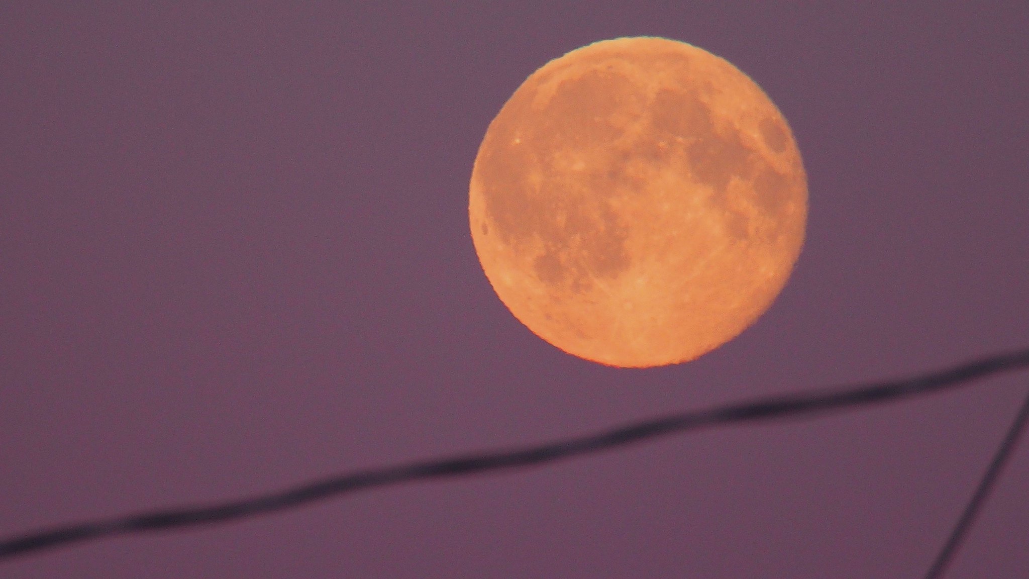 moon tonight illinois