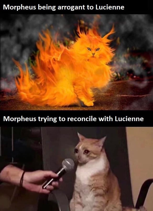 morpheus cat meme