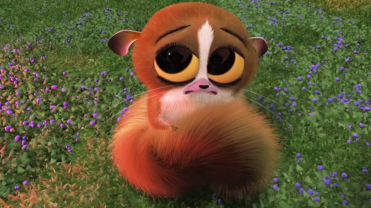 mort madagascar tierno