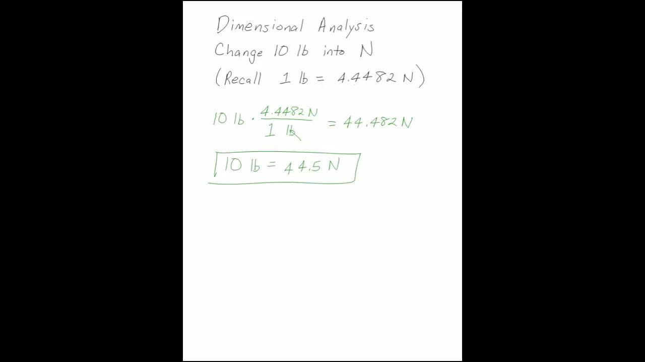 n to lbs conversion