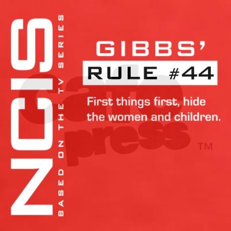 ncis gibbs rule 44