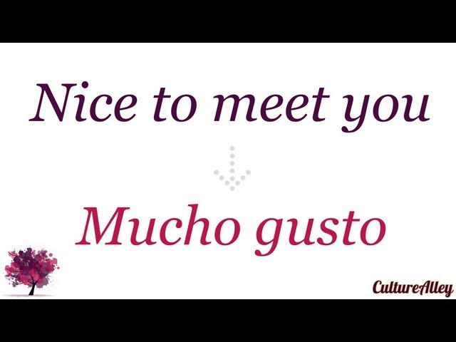 nice to meet you in spanish