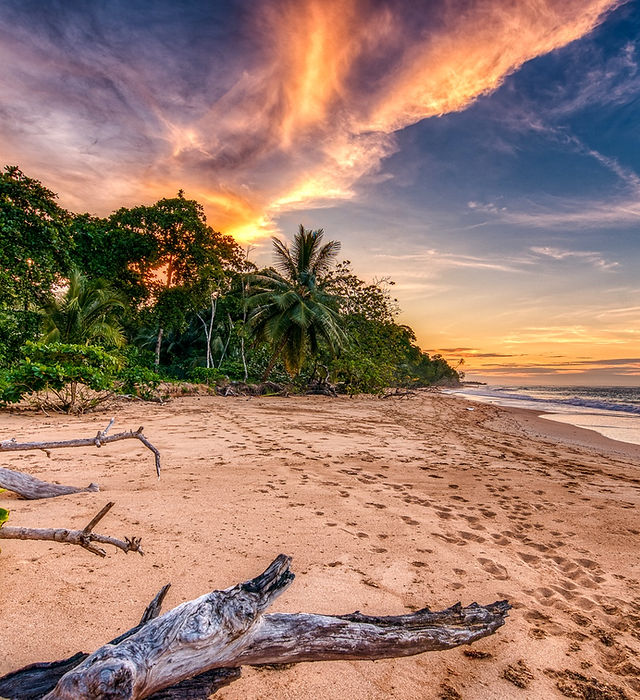 oasis bluff beach