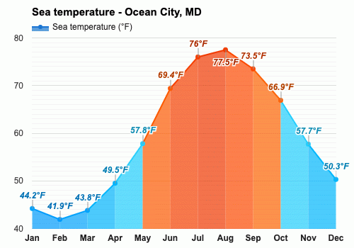 ocean city weather in august