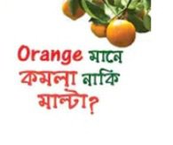 orange meaning in bengali