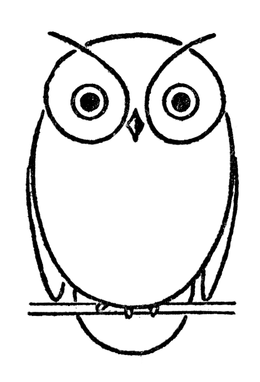 owl drawing images